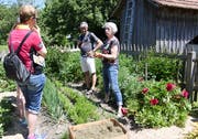 Kompost- und Gartenberaterin Helena Städler (rechts) erklärt den Besuchern das Mulchen mit getrocknetem Rasenschnitt. (Bild: Yvonne Aldrovandi)