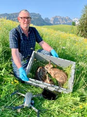 Zwillingsfund bei der Liegenschaft «Grehalden».