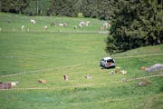 Ein Teil des von der Polizei abgesperrten Unglücksortes auf der Gerschnialp bei Engelberg. (Bild: Keystone/Urs Flüeler, 5. Juni 2019)