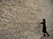 Eine ganze Wand aus Rentiermoos: «Moss Wall» aus dem Jahr 1994 ist eines der Werke des dänisch-isländischen Lichtkünstlers Ólafur Eliasson. Ihm widmet die Tate Modern in London eine Soloschau. (Bild: Keystone/EPA/NEIL HALL)