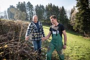 Landwirt Josef Stöckli und sein Sohn Michi Stöckli haben die Haselsträucher dieser Hecke stark zurückgeschnitten, damit andere Jungpflanzen darin wachsen können. (Bild: Manuela Jans-Koch, Herlisberg, 6. April 2019)