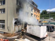 Weshalb es in der Mulde brannte, ist derzeit noch unklar. (Bild: PD)
