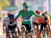 12. Etappensieg an der Tour de France: Peter Sagan lässt bei der Sprintankunft in Colmar die Muskeln spielen (Bild: KEYSTONE/AP/CHRISTOPHE ENA)