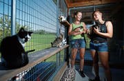 Angela Roth (links) und Anna Auf der Maur vom TSV Zug kümmern sich liebevoll um ihre Gäste. (Bild: Stefan Kaiser, Allenwinden, 10. Juli 2019)