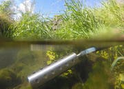 Mit diesem Gerät nehmen Fachleute des Kantons Wasserproben. Hier im Äächeli in der Rheintaler Gemeinde Au. (Bild: PD)