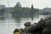 Die Bunkerwiese ist zum Streitobjekt geworden. (Bild: Reto Martin)