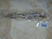 Die Archäologen legten in St. Gallen insgesamt 63 Gräber frei. Darunter etwa ein gut erhaltenes Skelett einer erwachsenen Person (Bild). Die ältesten Funde dürften aus dem Spätmittelalter stammen. (Bild: KASG)