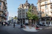 Die wasserdurchlässige Unterlage bei den neu gepflanzten Bäumen auf dem Museumsplatz. (Bild: Dominik Wunderli, Luzern, 10. Juli 2019)