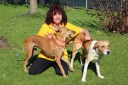 Die Wittenbacher Hundetrainerin Manuela Albrecht mit ihren Podenco-Mischlingen Jacky und Limon. Jacky wurde in Spanien im Müll gefunden. (Bild: PD)