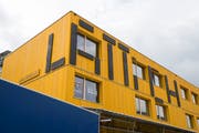 Der Lattich-Bau wurde dieses Frühjahr aufgestellt. (Bild: Adriana Ortiz Cardozo)