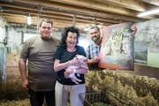 Im Schweinestall von Vater Kaspar Hofer (rechts, mit dem Erni-Bild) und Sohn Balthasar: Doris Erni, die Witwe von Hans Erni, versteigert ein Bild des berühmten Luzerner Kunstmalers. (Bild: Manuela Jans-Koch, Meggen, 7. Juli 2019)