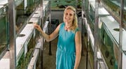 Lüftet Rätsel der Natur: die in Luzern wohnhafte Meeresbiologin Sara Stieb. (Bilder: Nadia Schärli, Kastanienbaum, 24. Juni 2019)