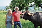 Edith und Josef Villiger lassen ihre mächtigen, aber friedlichen und genügsamen Wasserbüffel auch in Naturschutzwiesen weiden. Damit erübrigt sich dort das Mähen von Hand. (Bild: PD)