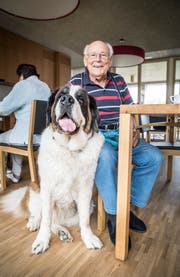 Hermann Bresch mit Therapiehündin Aveline im Pflegehiem Sonnhalden in Arbon. (Bild: Andrea Stalder)