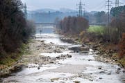 Wenn die Thur vermehrt so wenig Wasser führt, wie im letzten Jahr, kann es prekär werden. Bild: Reto Martin