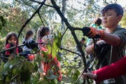 Stadtsanktgaller Kinder sollen mehr über Biodiversität lernen. (Bild: PD)