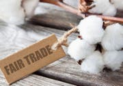 Das Fair-Trade-Label garantiert gute Arbeitsbedingungen in den Produktionsbetrieben in Entwicklungs- und Schwellenländern. Bild: Fotolia