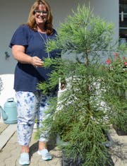 Hester Ryffel mit dem grössten Nachkommen des Herisauer Mammutbaumes. Bild: Karin Erni
