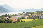 Die Gemeinde Meggen wird im nächsten Jahr sehr viel tiefer in die Tasche greifen müssen. (Bild: Manuela Jans-Koch, 18. Juli 2019)