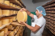 Der Afghane Hayatullah Mahammadi im Käsekeller. (Bild: Urs Bucher)