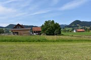 Wo jetzt noch hohes Gras steht, kommt bis zum Open Air die Bühne hin. (Bild: Ruben Schönenberger)