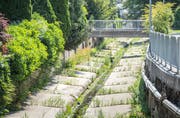 Der Giessen – hier in Weinfelden – gleicht derzeit eher einem Rinnsal als einem Bach. (Bild: Andrea Stalder, 19. Juli 2019)