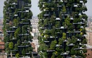Begrünte Fassaden wie bei der Siedlung Bosco Verticale in Mailand können ein Mittel gegen Hitze sein. (Bild: Luca Bruno/AP)