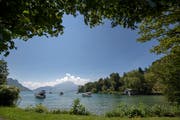 Aussicht auf den Pilatus, Boote – und manchmal auch Pfaue: Die Hertensteinbucht. (Bilder: Pius Amrein, 16. Juli 2019)