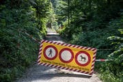 Diverse Wege im Bireggwald sind noch gesperrt. (Bild: Pius Amrein, Luzern, 19. Juli 2019)