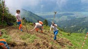Zwischen Schönbüel und Hofstetten wurde ein Wanderweg erstellt. (Bilder: PD/Balin Imfeld)