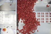 Eine Maschine verteilt Arzneikapseln in Blisterpackungen. (Bild: Gaetan Bally/Keystone)