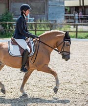 Leni Weber-Alder mit ihrem Hengst Amaretto erbst den ersten Platz in der Haflinger-Dressur. Bild: Patrick Hürlimann (Cham, 20. Juli 2019)
