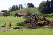 Die Äste werden von den Stämmen entfernt und die Stämme aufgeschichtet. (Bild: Marlen Hämmerli)