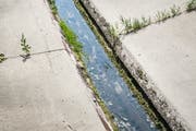 Der Giessen in Weinfelden führt bereits sehr wenig Wasser. (Bild: Andrea Stalder, 19.Juli 2019)