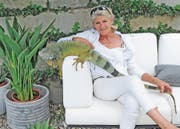 Kein Kuscheltier: Mr. Bongo, der grüne Leguan von Charlotte Damljanovic. Bild: Margit Bartl-Frank