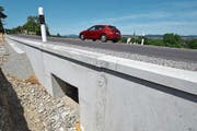 Durch solche Tunnel gelangen die Amphibien zukünftig sicher zu ihren Laichplätzen in der Reussebene.Bild: Christian Breitschmid