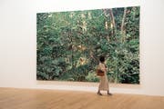 Zu jeder Jahreszeit entstand ein Bild von 3 mal 5 Metern: Die «Vier Jahreszeiten» von Franz Gertsch begeistern nicht nur Kunstliebhaber.