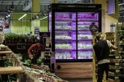 Zum selber Pflücken mitten im Laden: Ein Kasten mit einer Mini-Kräuterfarm im deutschen Supermarkt Edeka. (Bild: zvg)