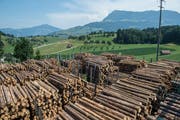 Bei der Schilliger Holz AG in Haltikon stapelt sich das Holz. (Bilder: Dominik Wunderli, Küssnacht, 25. Juli 2019)