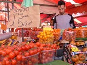 Tomaten so weit das Auge reicht. Bild: Silvia Schaub