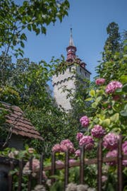 Blick auf den Wachtturm. (Bild: