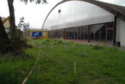 Zwischen Tennishalle und Bodensee-Arena sollen die provisorischen Garderoben platziert werden. (Bild: Kurt Peter)