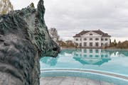 Das verkaufte Waldstück gehörte bislang zum Besitz des Schloss Eugensberg. (Bild: Donato Caspari)