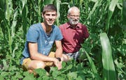 Benedikt Kogler und Hans Oppliger in einem Versuchsfeld mit Mais und Schwefelbohnen in Haag.Bild: Katharina Rutz