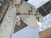 «Dragon»-Raumfrachter an der Internationalen Raumstation ISS. Derzeit herrscht auf der ISS Hochbetrieb: fünf Raumschiffe sind derzeit angedockt. (Bild: KEYSTONE/AP NASA)