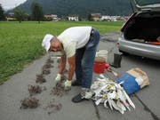 Walter Waser bereitet die Mäusejagd vor. (Bild: Ruedi Wechsler, Stans, 11. Juli 2019)