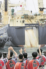 Das Walfang-Schiff Nisshin Maru läuft aus. Bild: Yomiuri Shimbun/AP (Shimonoseki, 1. Juli 2019)