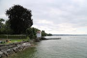 Der Uferweg soll von der Badi Hörnlibuck über Stege und Aufschüttungen führen. (Bild: Jolanda Riedener)