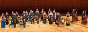 Die Festival Strings werden am Nachmittagskonzert für einen Hörgenuss sorgen.. (Bild: PD)