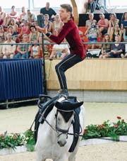 Sven Ris ist mit 18 Jahren ein Versprechen für die Zukunft. Der Voltigierer wurde in Holland Vizeweltmeister. (Bild: PD)